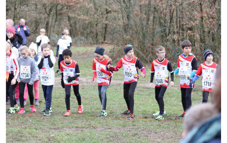 Cross de Bischwiller 2018