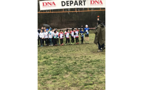 Cross Départemental de Lauterbourg