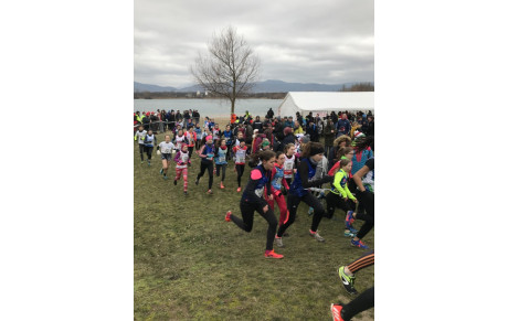 Championnat d'Alsace de Cross