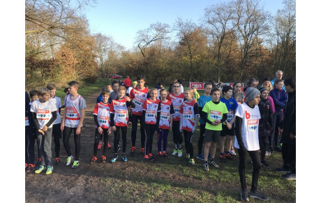 Cross de Bischwiller 2019