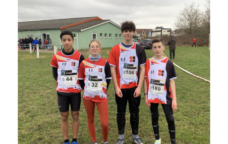 Cross de Morsbronn les Bains